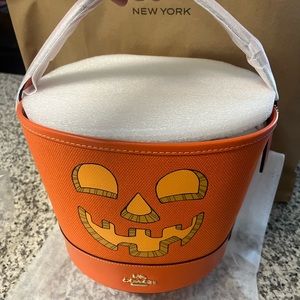 Trick or treat bucket in signature canvas pumpkin style🎃🎃